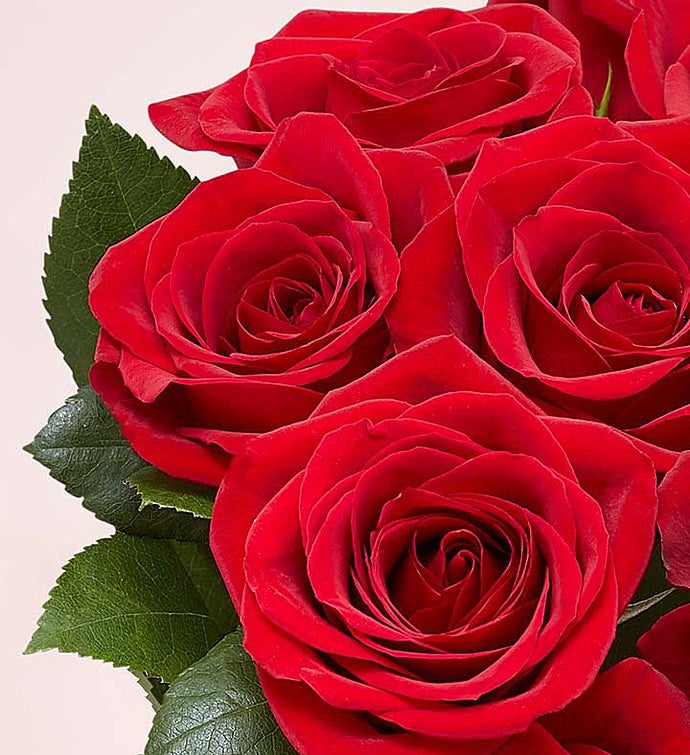Red Roses in Marquis by Waterford® Vase